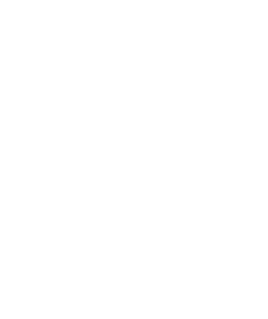 Logo_Schornsteinlogo weiß
